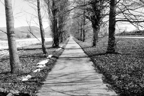 Arbitration vs. Litigation: Choosing the Right Path