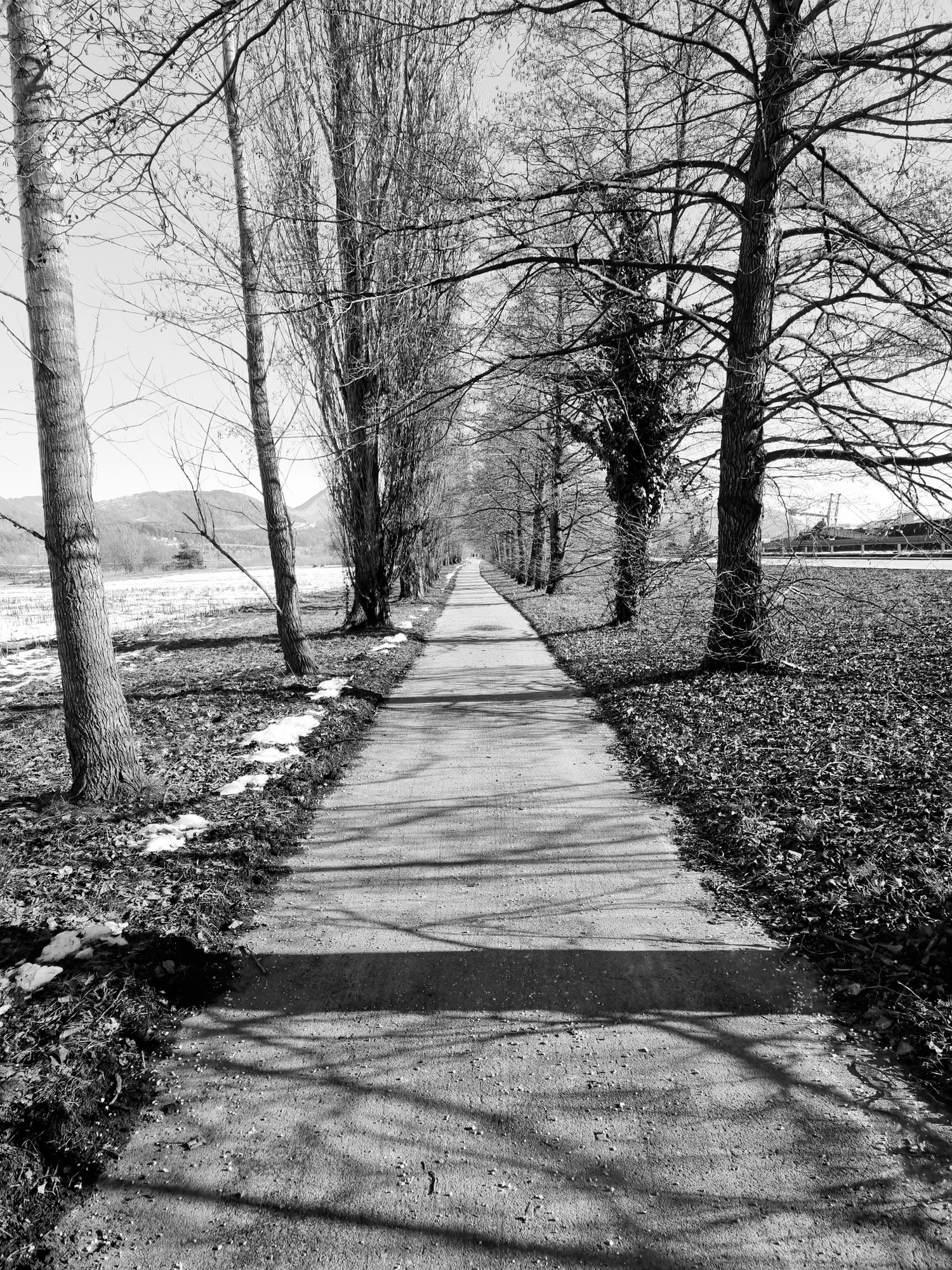 Arbitration vs. Litigation: Choosing the Right Path